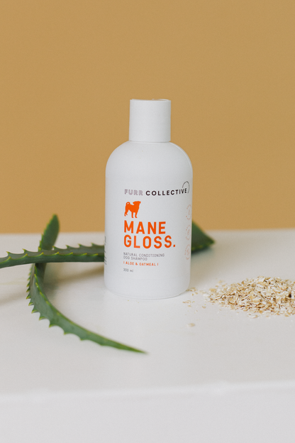 Mane Gloss Conditioning Shampoo