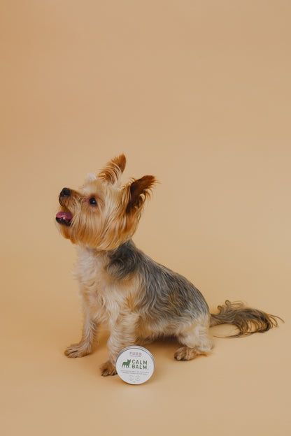 Calm Balm Moisturising Snout, Paw & Skin Balm